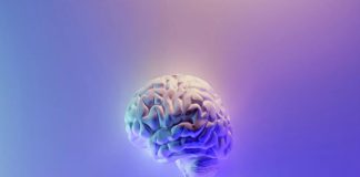 Cinco variedades distintas de Alzheimer