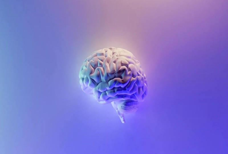 cerebro Cinco variedades distintas de Alzheimer
