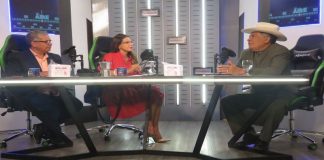 Ley de protección al cultor y cultora