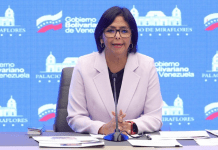 Vicepresidenta Rodríguez llama a la diversificación económica