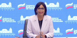 Vicepresidenta Rodríguez llama a la diversificación económica