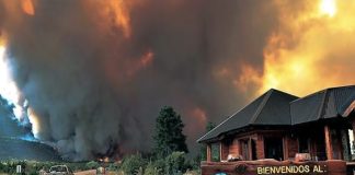 Incendio Forestal - Patagonia Argentina