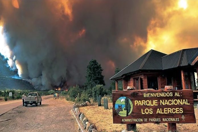 Incendio Forestal - Patagonia Argentina