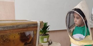 Polinizadores y dispersores de semillas