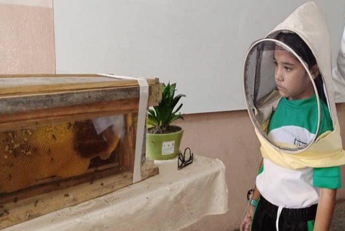 Polinizadores y dispersores de semillas