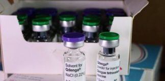 Dengue