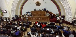 Ley para trato digno de animales de compañía