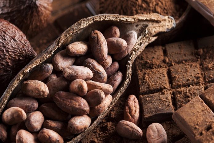 La Escuela de Chocolatería del Alba