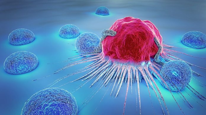 Identificar síndrome del cáncer hereditario