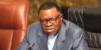 el presidente de Namibia