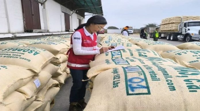 Exportarán 70 toneladas de café verde a EE. UU. Exportarán 70 toneladas de café verde a EE. UU.