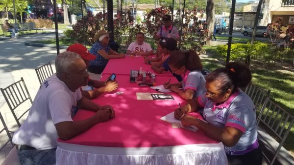 Plazas Bolívar - Cultores