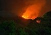 Reportan incendios forestales en el Parque Nacional San Esteban