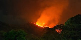 Reportan incendios forestales en el Parque Nacional San Esteban