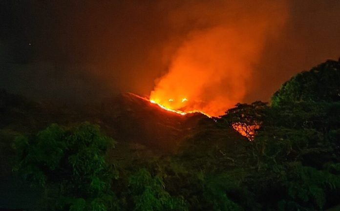 Reportan incendios forestales en el Parque Nacional San Esteban
