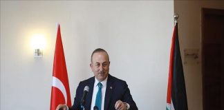 Turquía brindará apoyo a Palestina