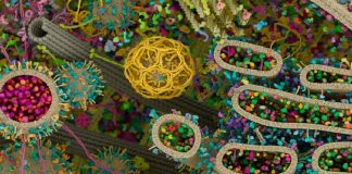 Avances de la ciencia