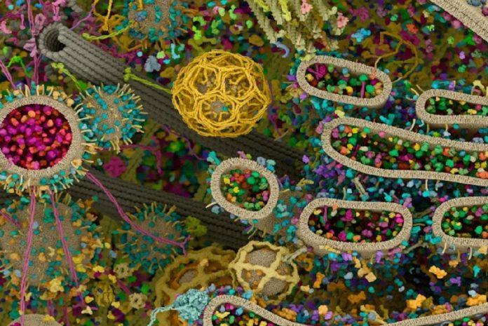 Avances de la ciencia