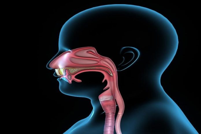 goteo-postnasal El goteo postnasal