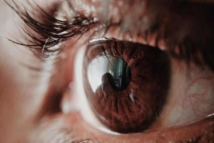 Los humanos en el año 3024