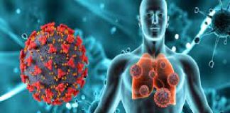 Hoy 24 de marzo se celebra el Día Mundial de la Tuberculosis 2024 Día Mundial de la Tuberculosis 2024
