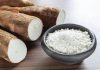 La Yuca sirve como fuente de vitalidad y bienestar para el ser humano La Yuca