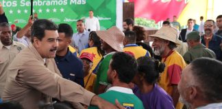 Campesinos