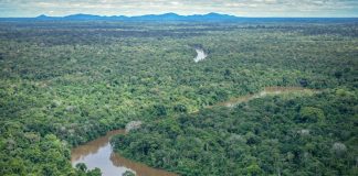 Brasil lanza programa para combatir deforestación en Amazonía