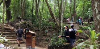 Cerro Casupo parques municipales de Valencia