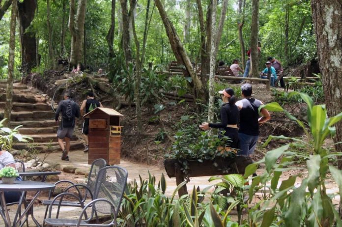 Cerro Casupo parques municipales de Valencia