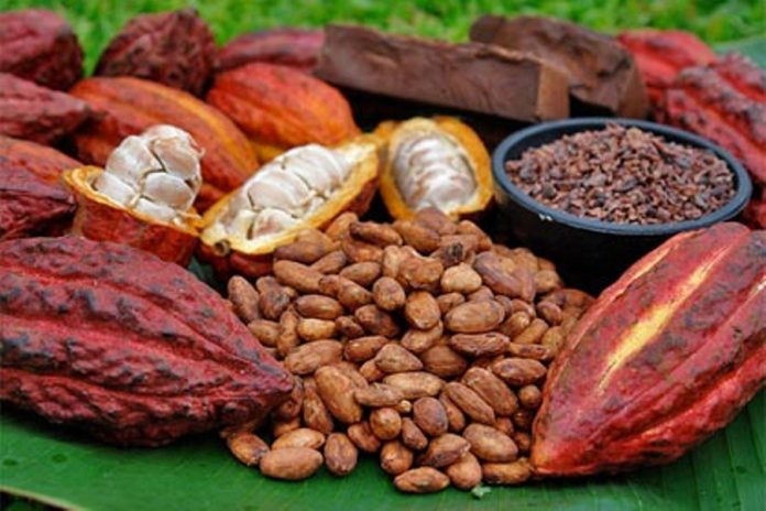 Ley del Cacao Ley del Cacao