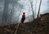 Denuncian que incendios en Venezuela forman parte de plan desestabilizador incendios forestales