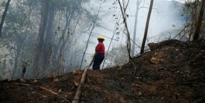 incendios forestales