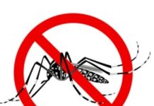 El Día Mundial del Paludismo