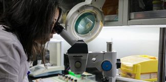 La biotecnología agrícola