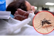 Brasil trabaja en solución para la epidemia del Dengue