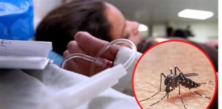 Brasil trabaja en solución para la epidemia del Dengue