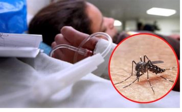 Brasil trabaja en solución para la epidemia del Dengue