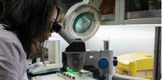 da de la ciencia y la tecnología