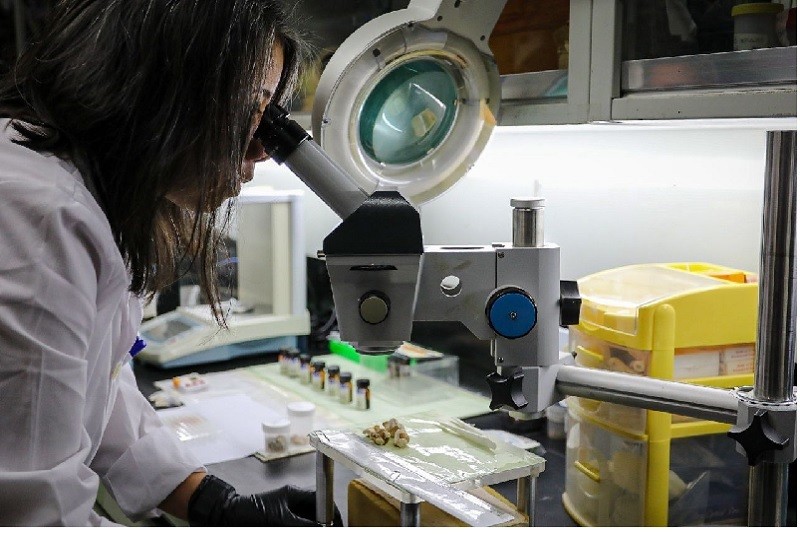 dia de la ciencia y tecnologia da de la ciencia y la tecnología
