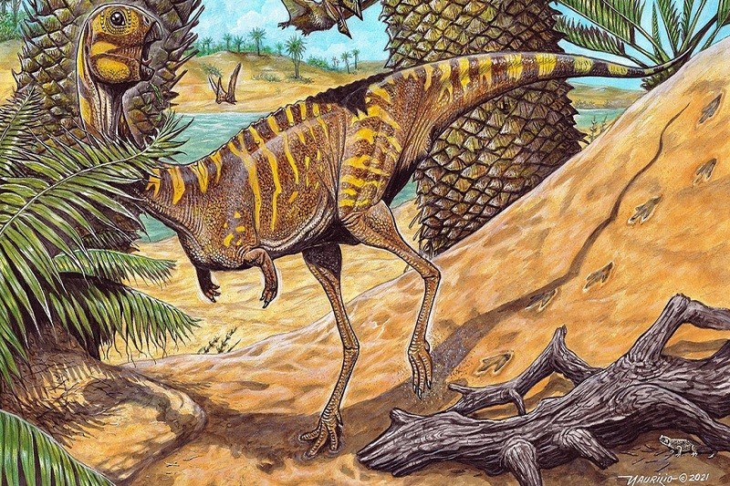 dino Nueva especie de dinosaurio