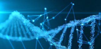 El origen de tumores