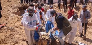 robo de órganos a los palestinos