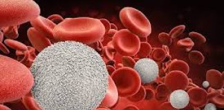 DÍA MUNDIAL DEL CÁNCER EN LA SANGRE