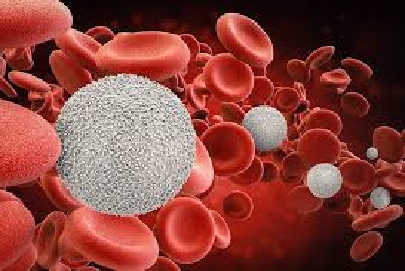 CANCER EN LA SANGRE DÍA MUNDIAL DEL CÁNCER EN LA SANGRE