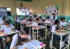 Prueba piloto
