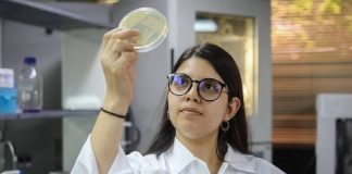 Becas de postgrado