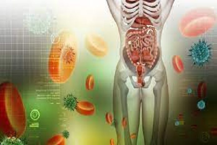 La salud digestiva promueve el bienestar y la calidad de vida