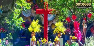 la Cruz de Mayo