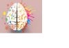 Plasticidad cerebral